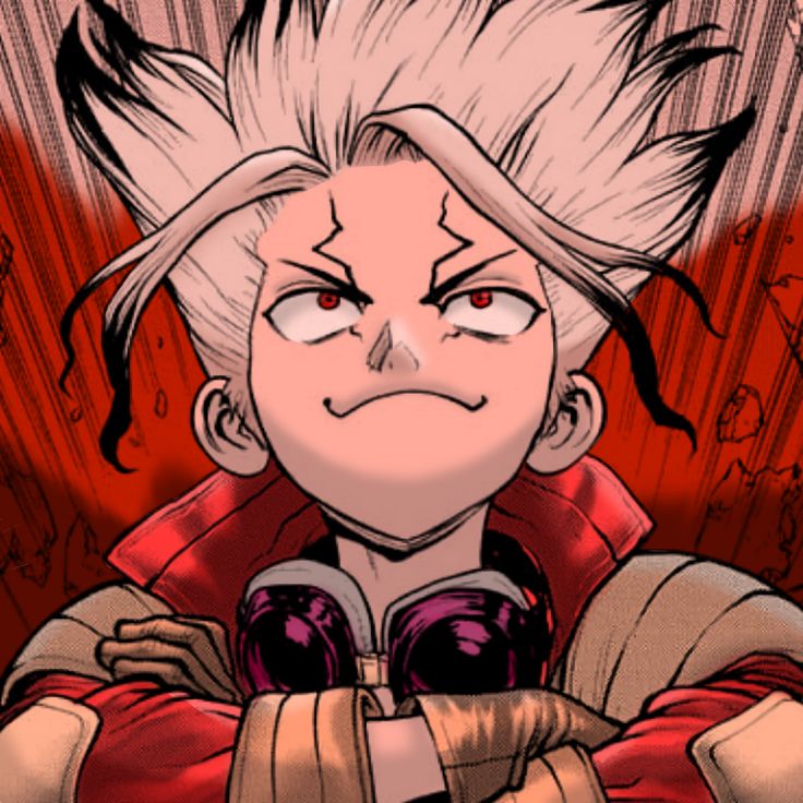 Dr. Stone